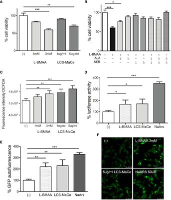 Evaluation of cyanotoxin L-BMAA effect on α-synuclein and TDP43 proteinopathy